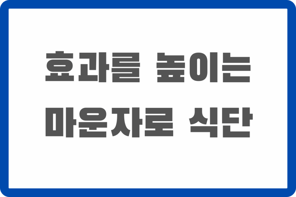 마운자로 식단