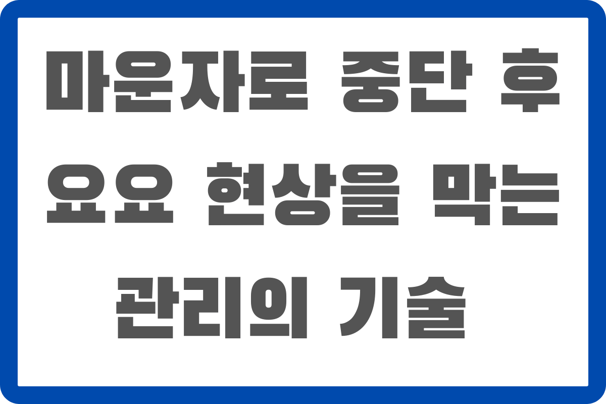 마운자로 중단 후