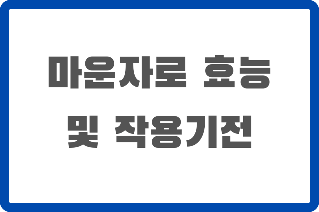 마운자로 효능 마운자로 효능