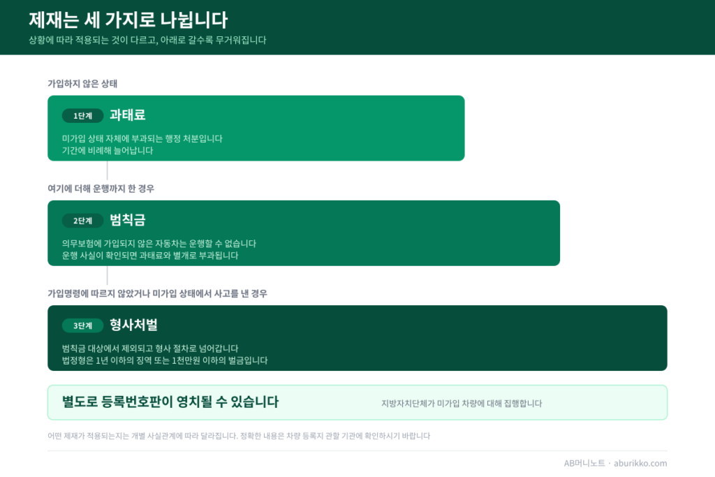 미가입 시 과태료 범칙금 형사처벌 구분